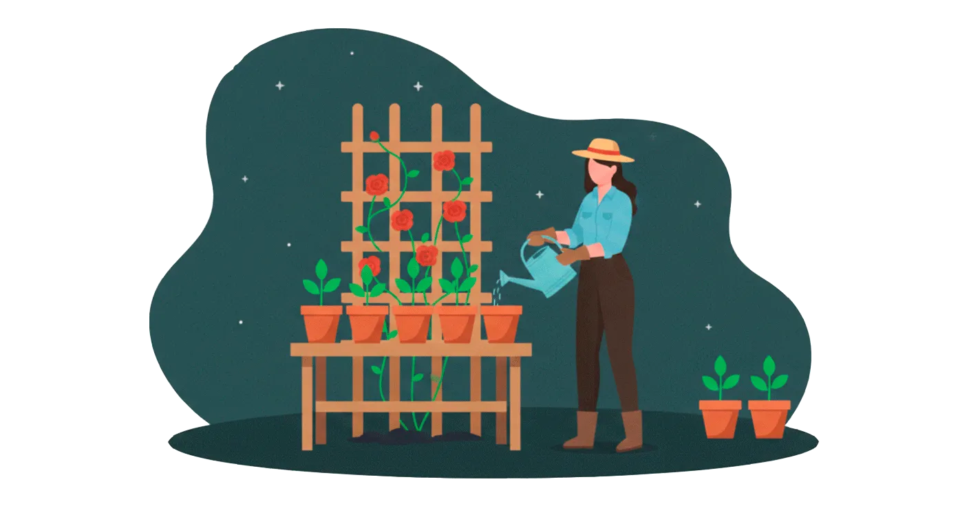 Своя витрина за 5 минут